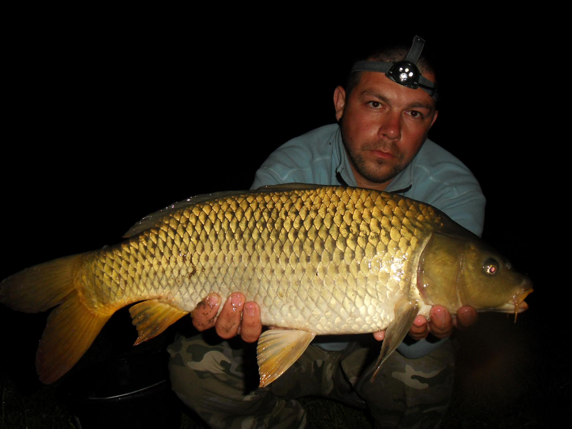 Cetariu 2011 - cetariu2011-254.JPG